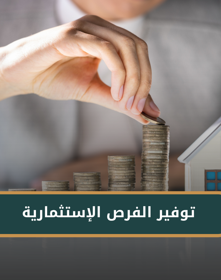 تصميم موقع الكتروني في السعودية , منصة نورالدين