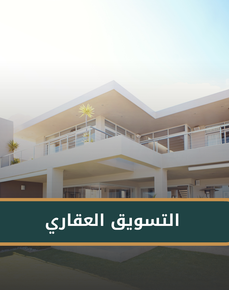 تصميم موقع الكتروني في السعودية , منصة نورالدين